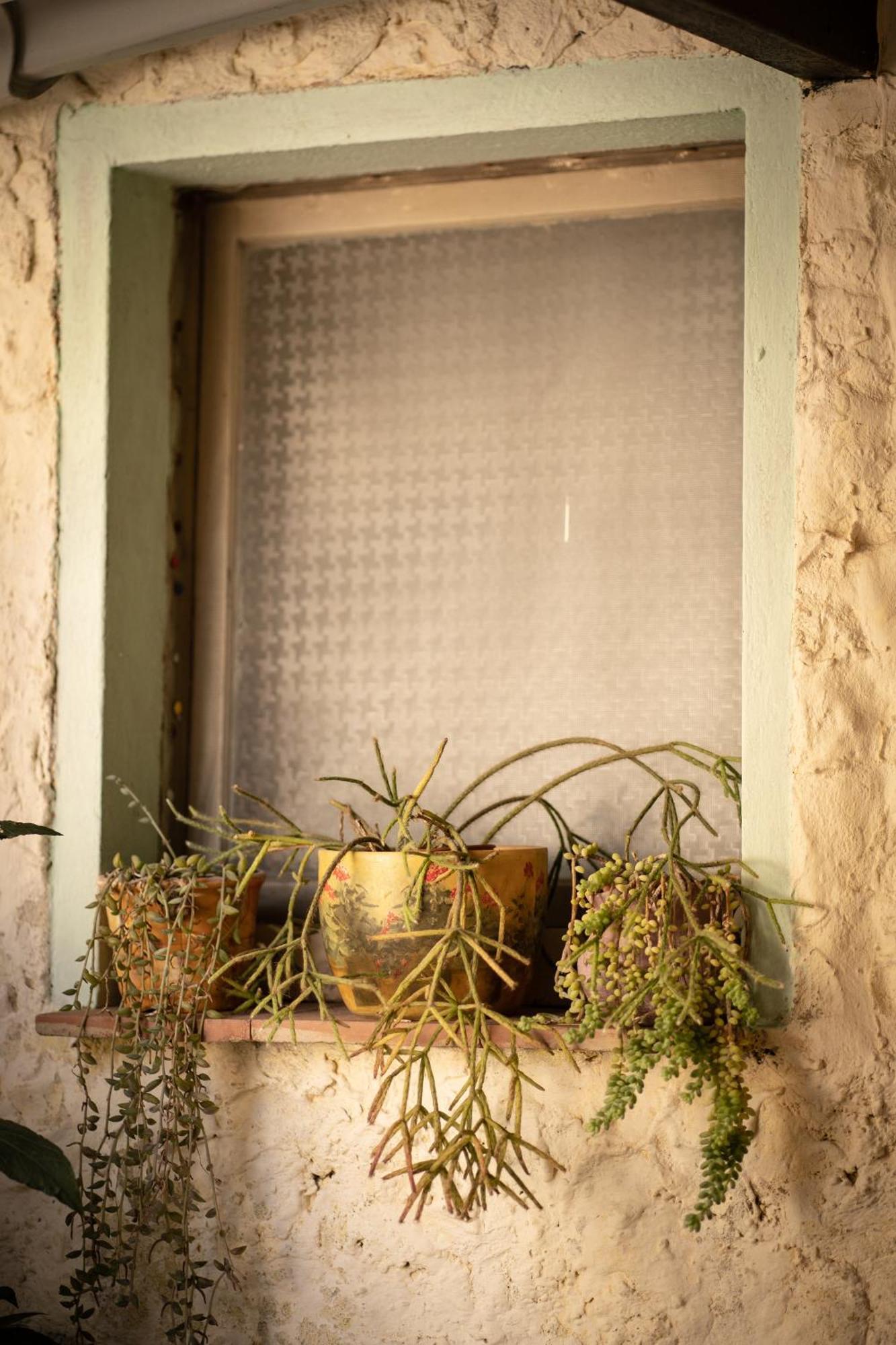 Sa Domu De Ladiri - Matrimoniale Con Giardino Bed & Breakfast Musei Luaran gambar